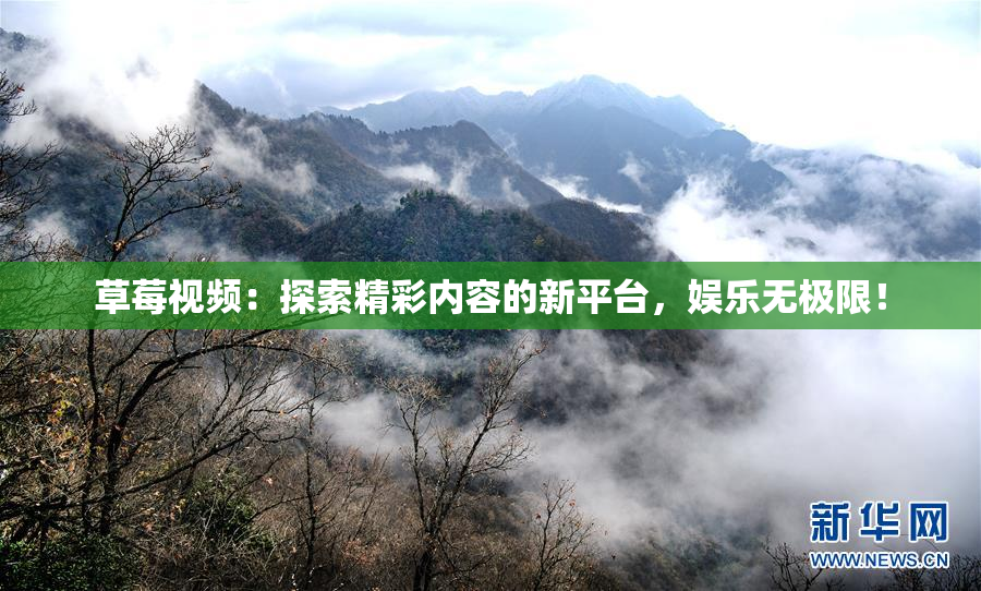 草莓视频：探索精彩内容的新平台，娱乐无极限！