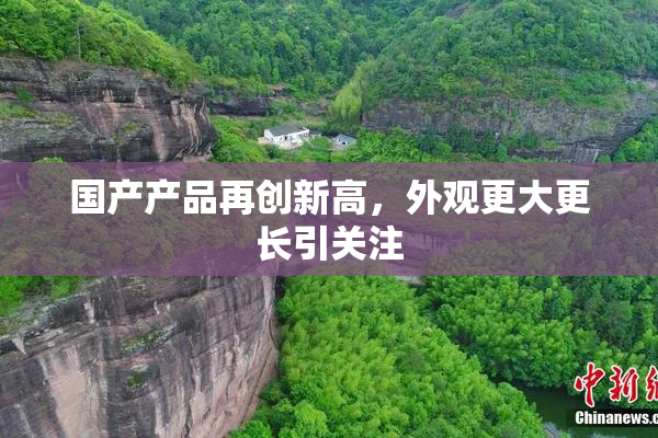 国产产品再创新高，外观更大更长引关注