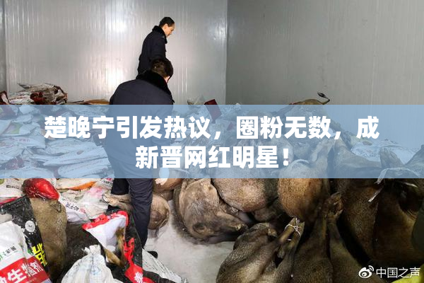 楚晚宁引发热议，圈粉无数，成新晋网红明星！