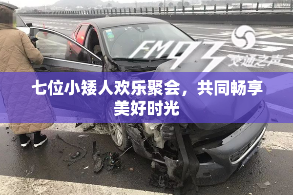 七位小矮人欢乐聚会，共同畅享美好时光