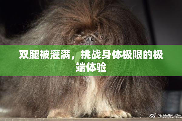 双腿被灌满，挑战身体极限的极端体验
