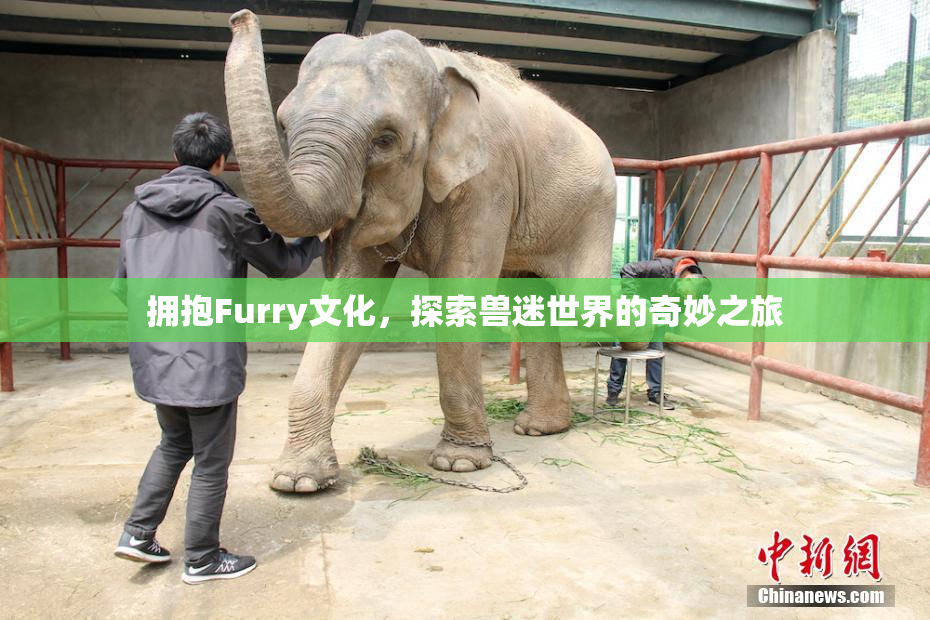 拥抱Furry文化，探索兽迷世界的奇妙之旅