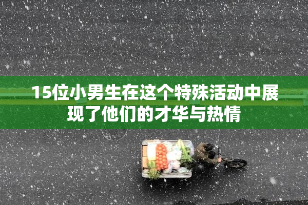 15位小男生在这个特殊活动中展现了他们的才华与热情