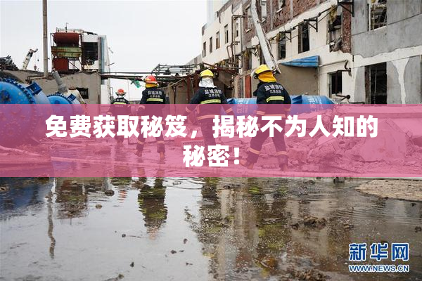 免费获取秘笈，揭秘不为人知的秘密！