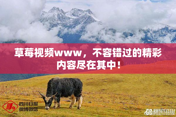 草莓视频www，不容错过的精彩内容尽在其中！