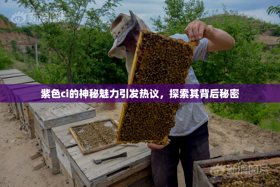 紫色ci的神秘魅力引发热议，探索其背后秘密
