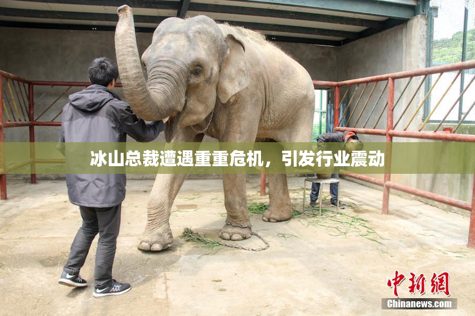 冰山总裁遭遇重重危机，引发行业震动