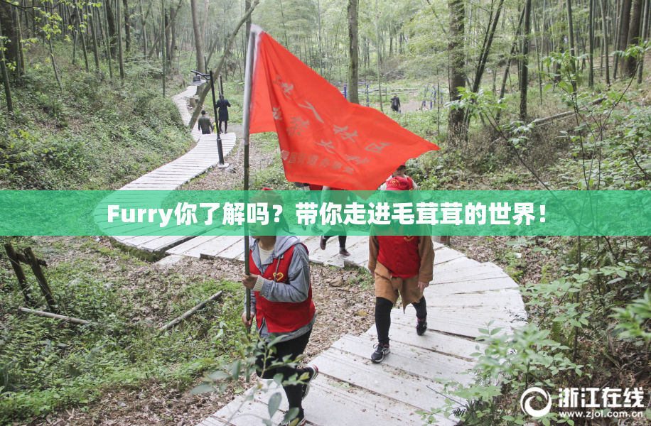 Furry你了解吗？带你走进毛茸茸的世界！