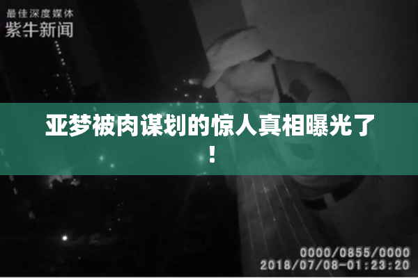 亚梦被肉谋划的惊人真相曝光了！
