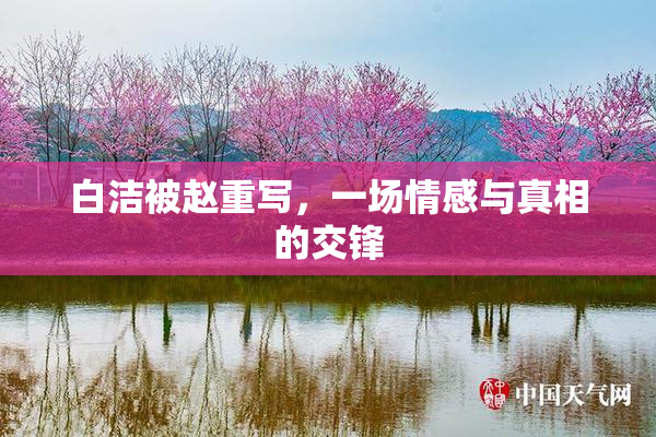白洁被赵重写，一场情感与真相的交锋
