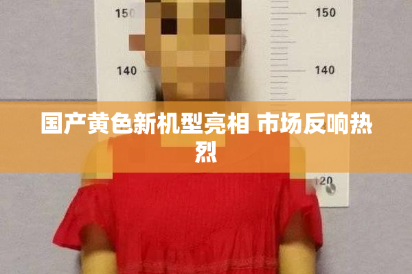 国产黄色新机型亮相 市场反响热烈