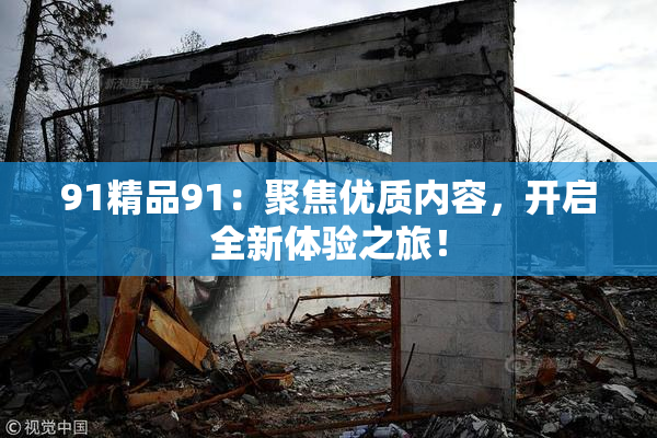 91精品91：聚焦优质内容，开启全新体验之旅！