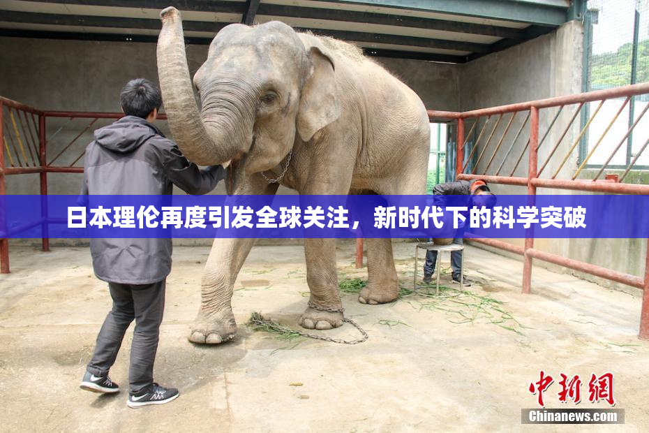 日本理伦再度引发全球关注，新时代下的科学突破