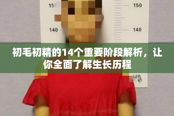 初毛初精的14个重要阶段解析，让你全面了解生长历程