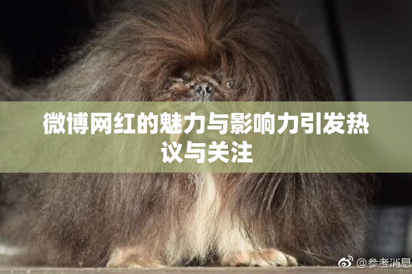 微博网红的魅力与影响力引发热议与关注