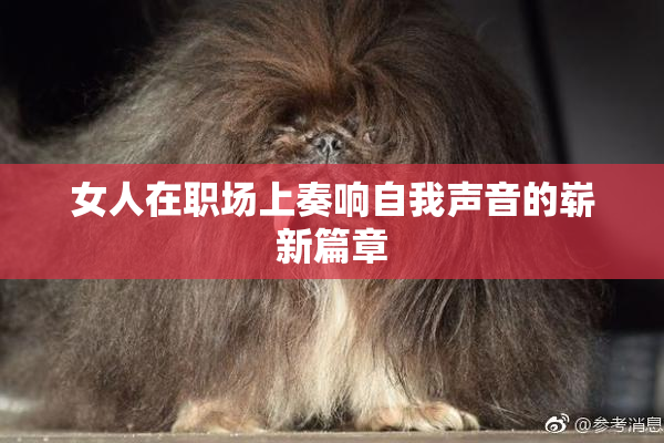 女人在职场上奏响自我声音的崭新篇章