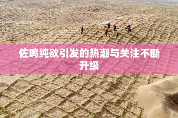佐鸣纯欲引发的热潮与关注不断升级