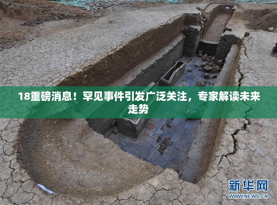 18重磅消息！罕见事件引发广泛关注，专家解读未来走势