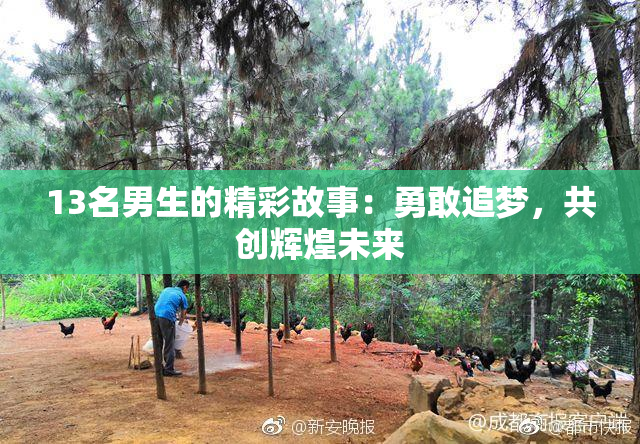 13名男生的精彩故事：勇敢追梦，共创辉煌未来