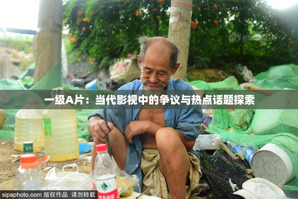 一级A片：当代影视中的争议与热点话题探索
