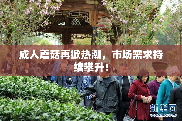 成人蘑菇再掀热潮，市场需求持续攀升！