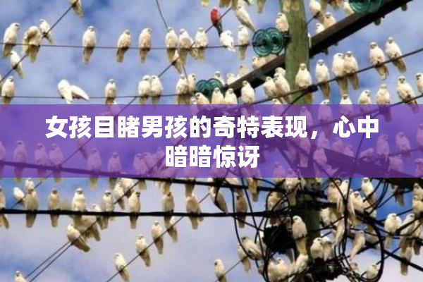 女孩目睹男孩的奇特表现，心中暗暗惊讶