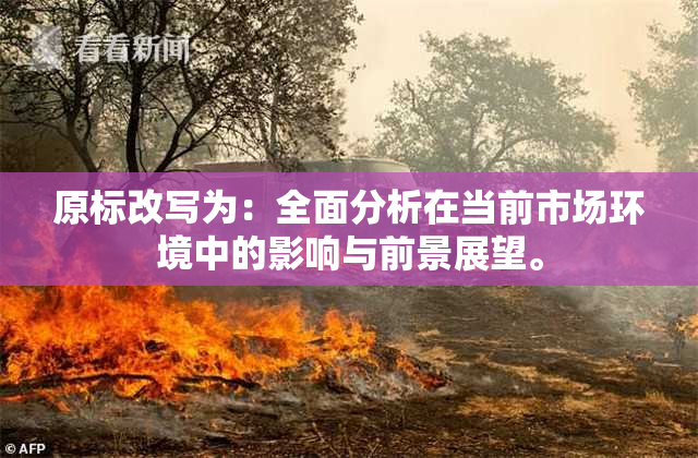 原标改写为：全面分析在当前市场环境中的影响与前景展望。