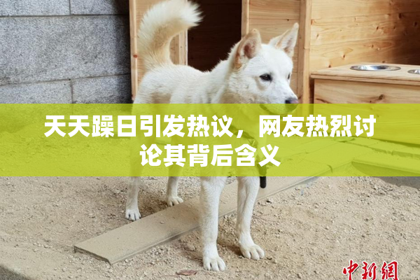 天天躁日引发热议，网友热烈讨论其背后含义