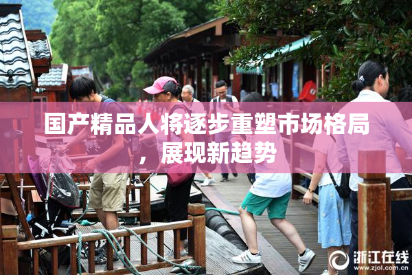 国产精品人将逐步重塑市场格局，展现新趋势