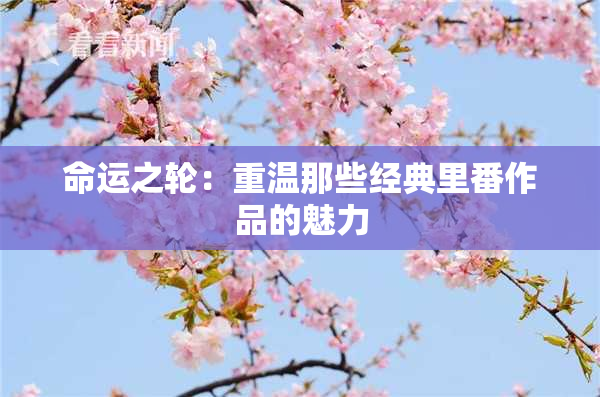 命运之轮：重温那些经典里番作品的魅力