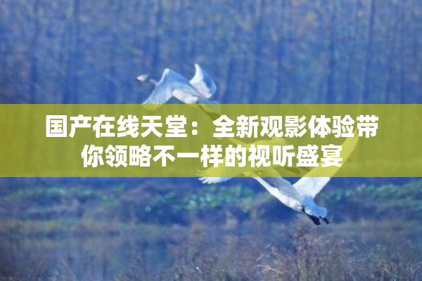 国产在线天堂：全新观影体验带你领略不一样的视听盛宴