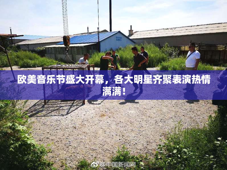 欧美音乐节盛大开幕，各大明星齐聚表演热情满满！