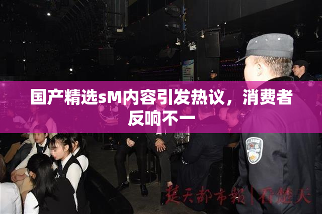 国产精选sM内容引发热议，消费者反响不一