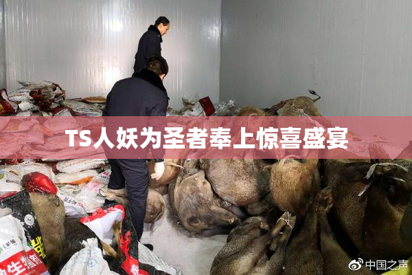 TS人妖为圣者奉上惊喜盛宴