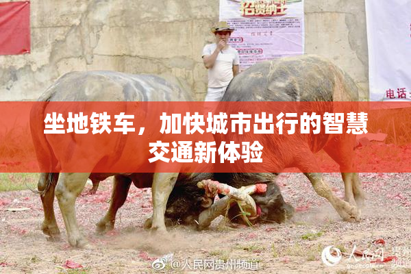 坐地铁车，加快城市出行的智慧交通新体验
