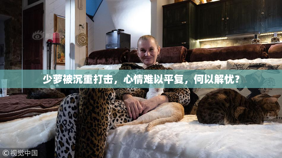 少萝被沉重打击，心情难以平复，何以解忧？