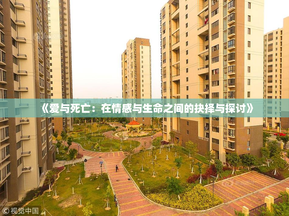 《爱与死亡：在情感与生命之间的抉择与探讨》