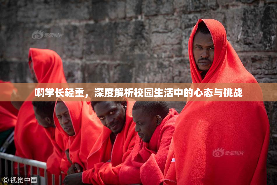 啊学长轻重，深度解析校园生活中的心态与挑战