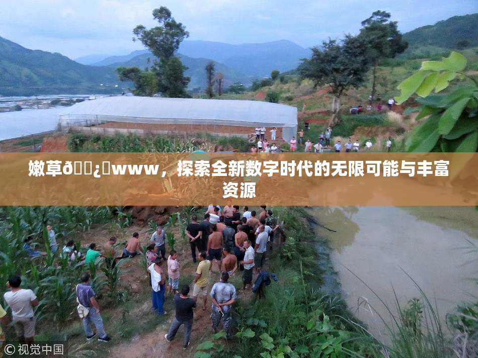 嫩草🌿‌www，探索全新数字时代的无限可能与丰富资源