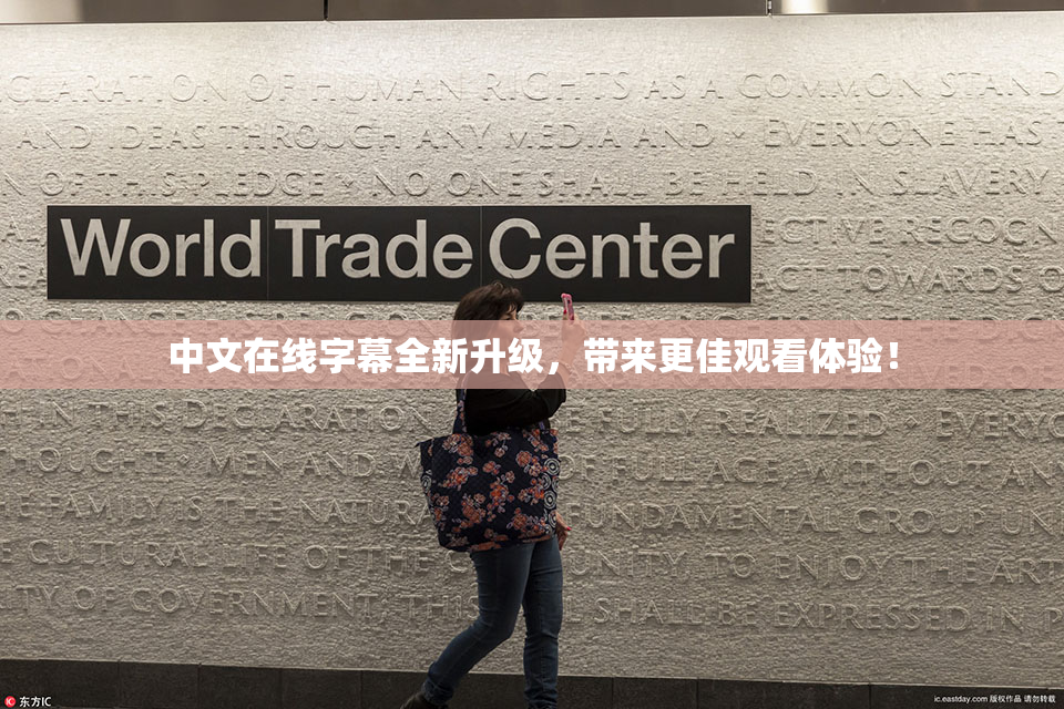 中文在线字幕全新升级，带来更佳观看体验！