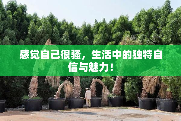 感觉自己很骚，生活中的独特自信与魅力！