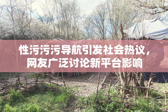 性污污污导航引发社会热议，网友广泛讨论新平台影响