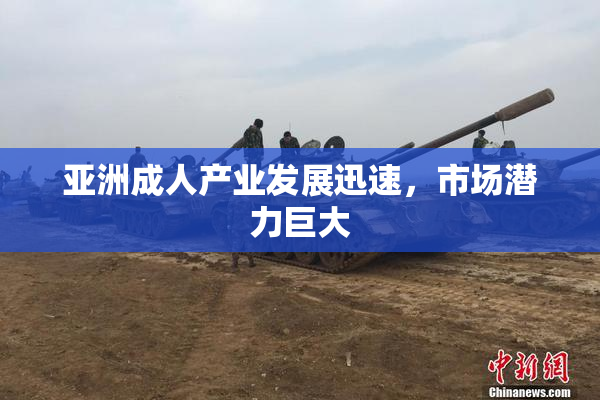 亚洲成人产业发展迅速，市场潜力巨大