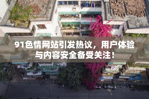 91色情网站引发热议，用户体验与内容安全备受关注！