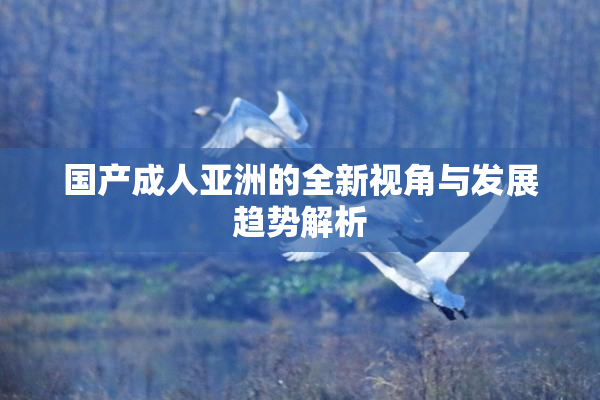 国产成人亚洲的全新视角与发展趋势解析