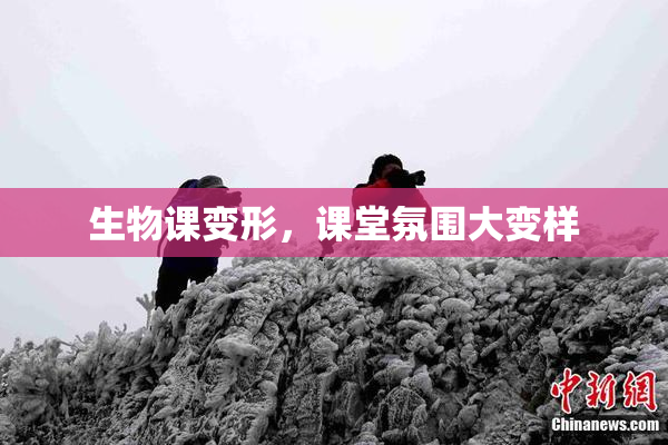 生物课变形，课堂氛围大变样