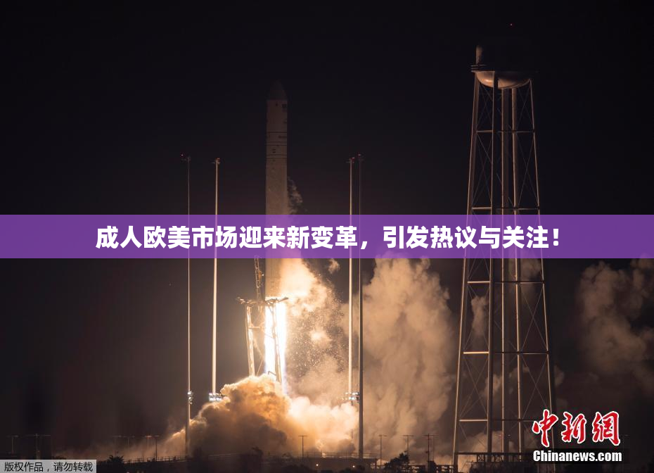 成人欧美市场迎来新变革，引发热议与关注！
