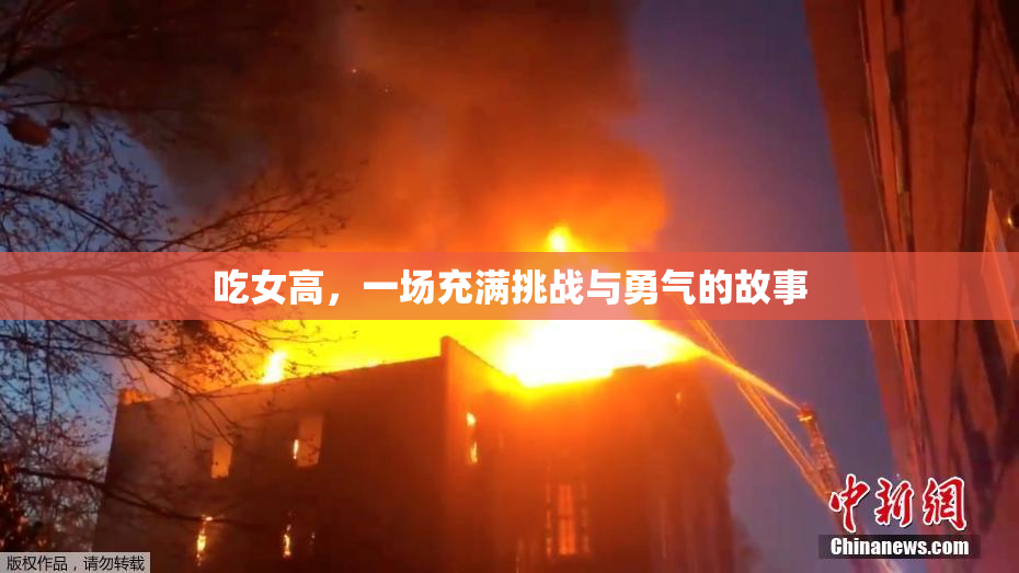 吃女高，一场充满挑战与勇气的故事