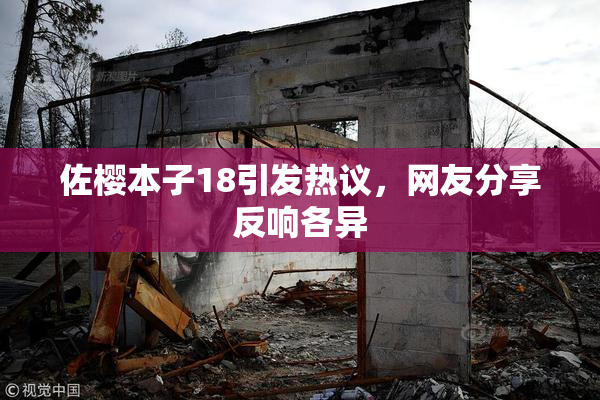 佐樱本子18引发热议，网友分享反响各异