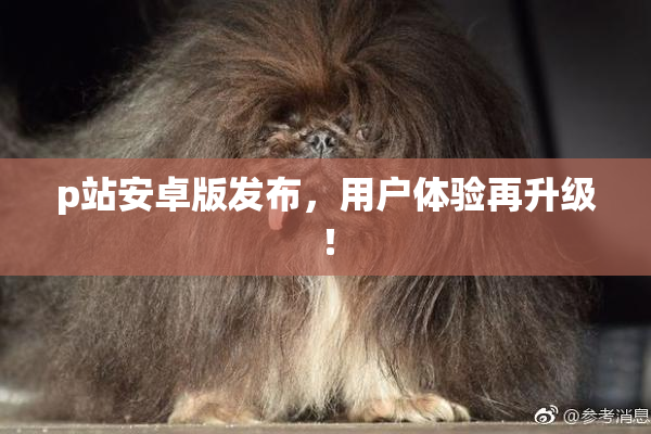 p站安卓版发布，用户体验再升级！